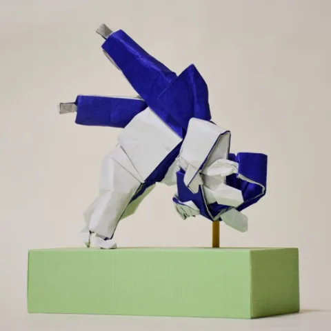 Ippon seoi nage (Judo throw)