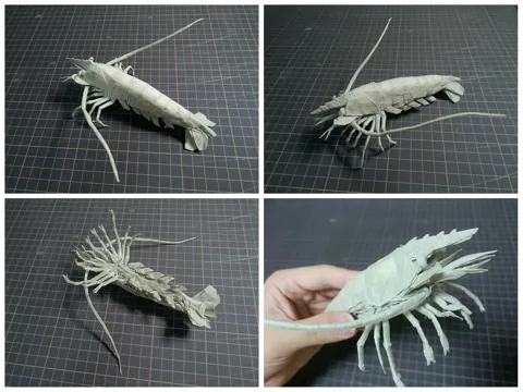 Shrimp v2 (PD)
