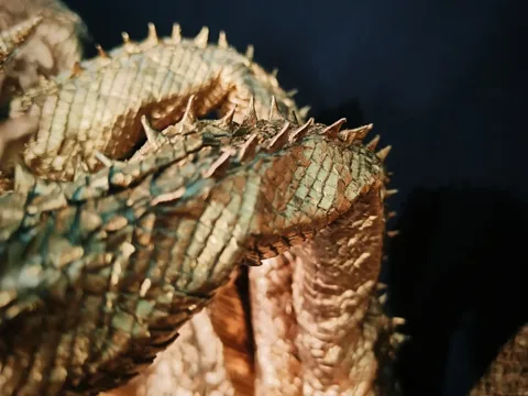 King Ghidorah v1