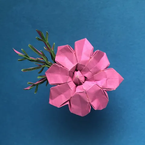 Flower and leaf
