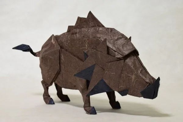 Boar