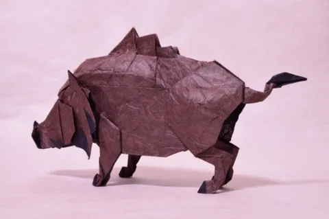Boar