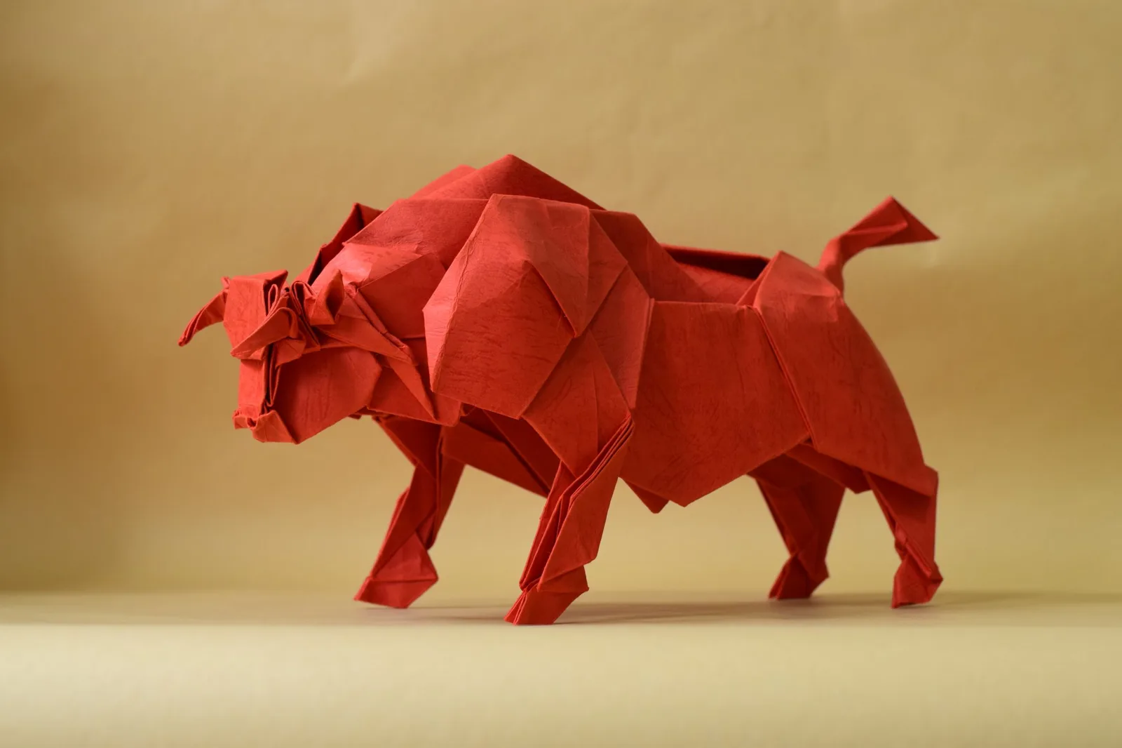 Bull
