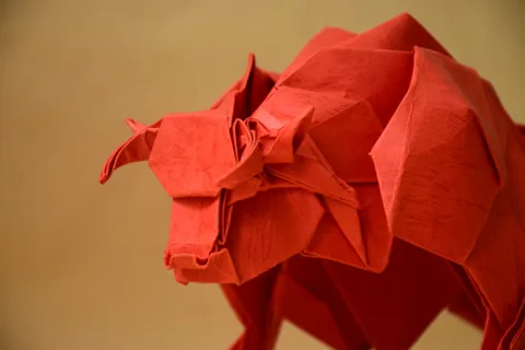 Bull