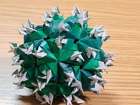 Cactus
