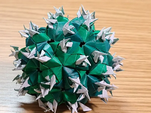 Cactus