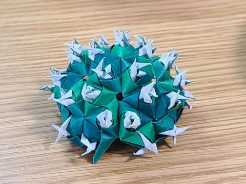 Cactus