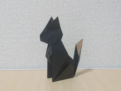 Cat 2018