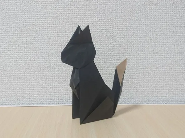 Cat 2018