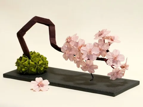 Cherry Blossom