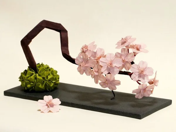 Cherry Blossom