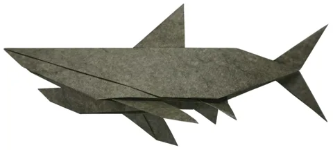 Shark