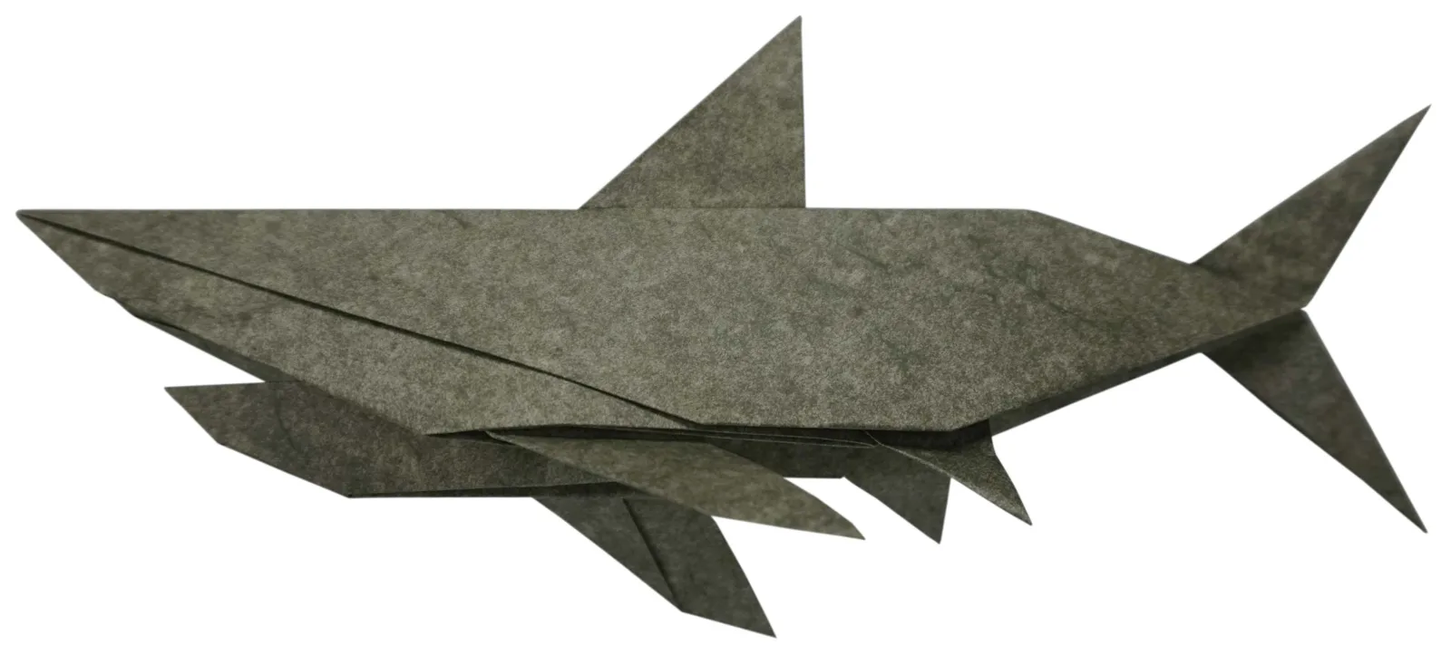 Shark