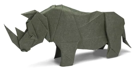 Rhinoceros