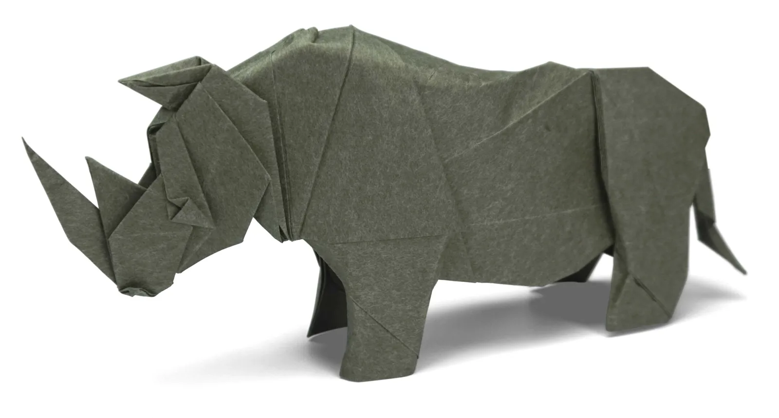 Rhinoceros