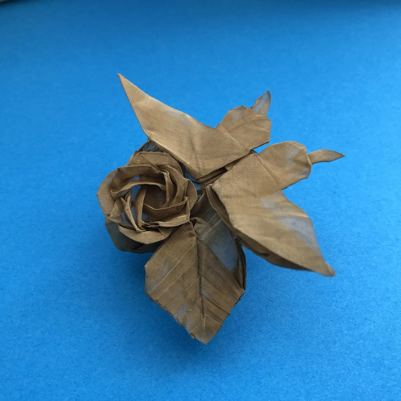 Rose and butterfly