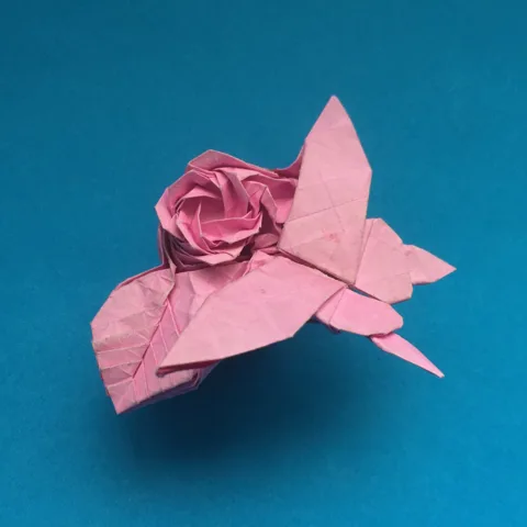 Rose and butterfly