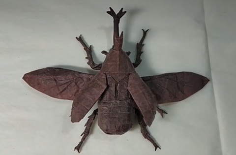 Flying Kabutomushi