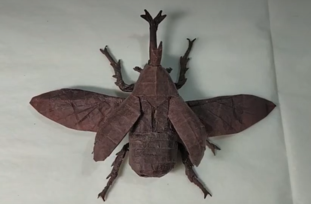 Flying Kabutomushi