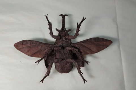Flying Kabutomushi