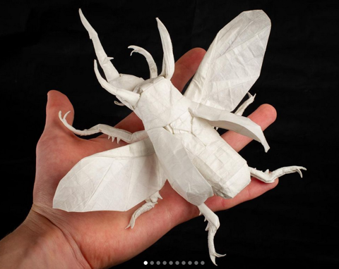 Flying caucasus beetle／atlas beetle