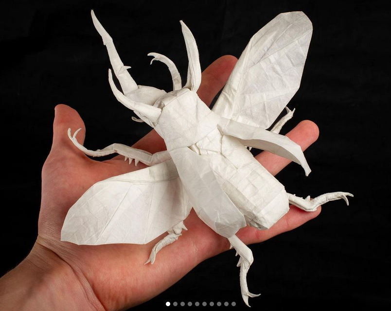Flying caucasus beetle／atlas beetle