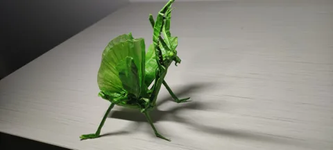 Mantis