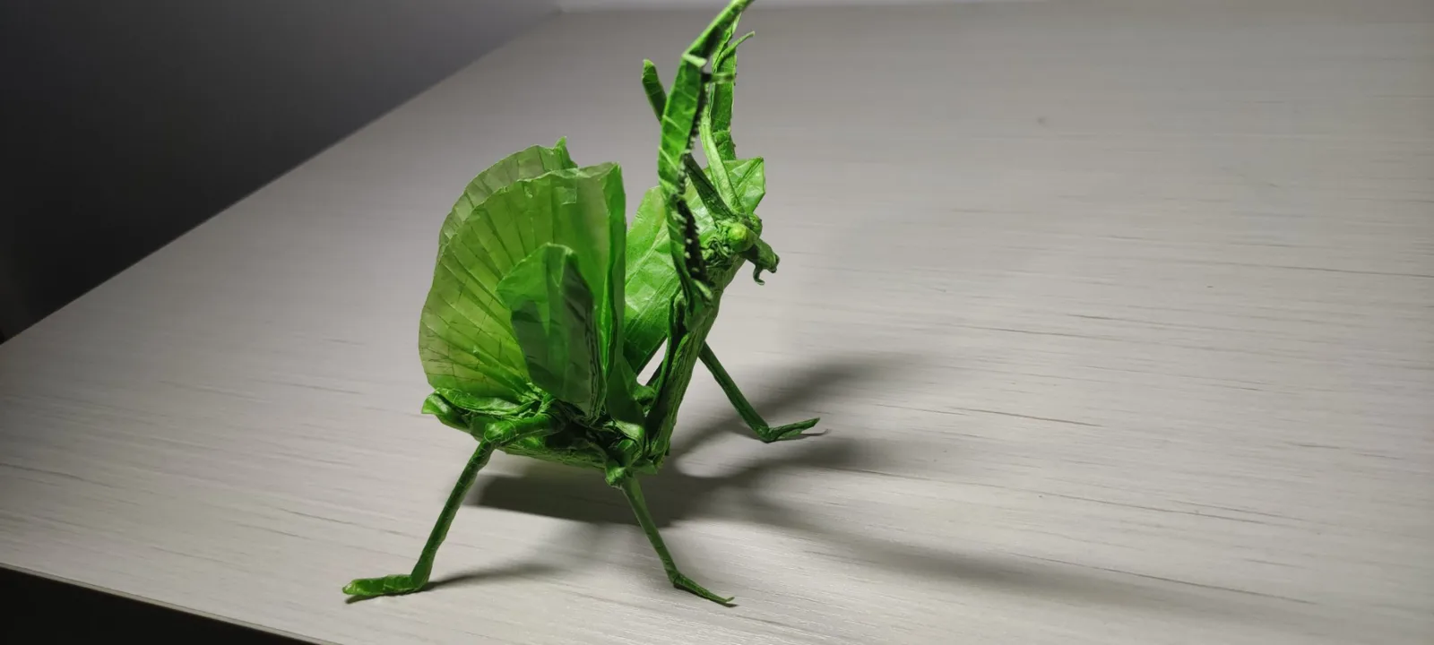 Mantis