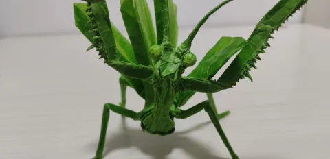 Mantis