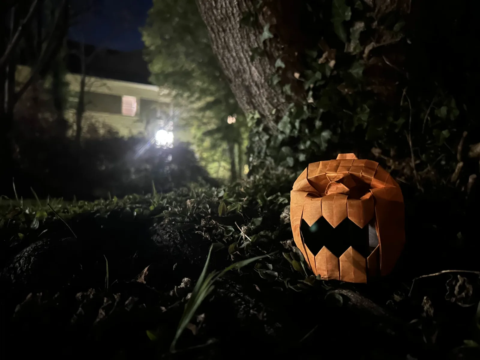 Jack O’ Lantern