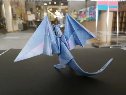 Frog Dragon