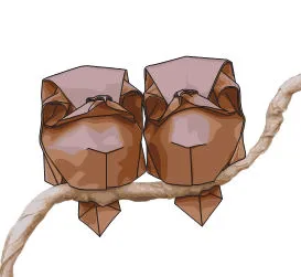 LUOwl