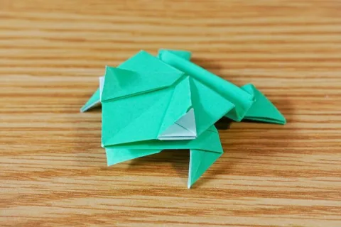 Jumping frog with face
