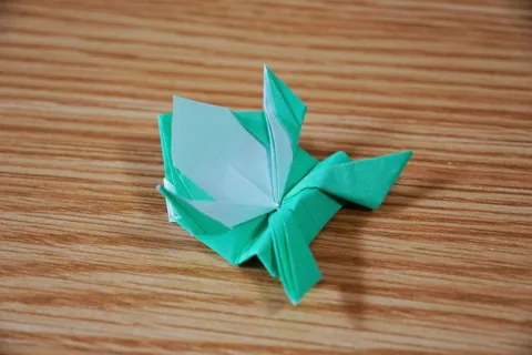 Jumping frog with face