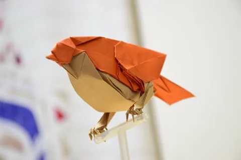 Little Bird V2