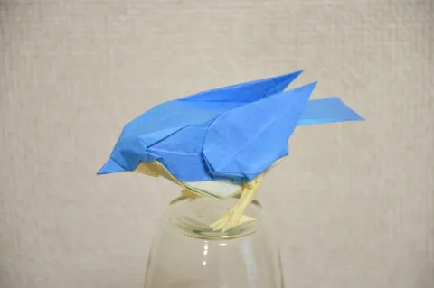 Little Bird V2