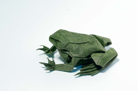 Marsh frog