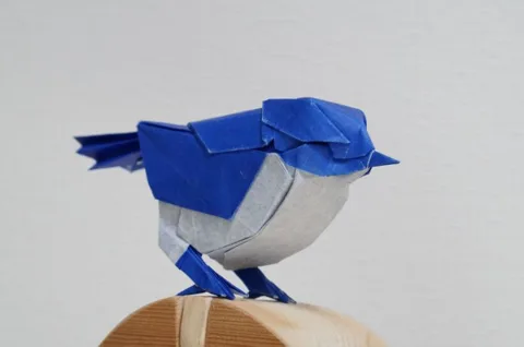 Little Bird V3