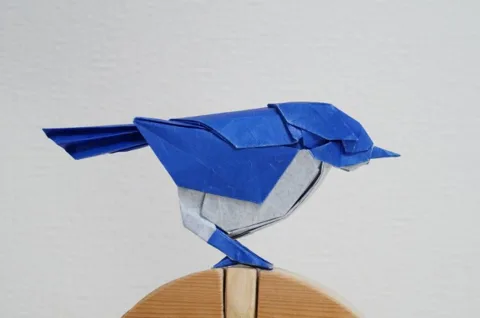 Little Bird V3