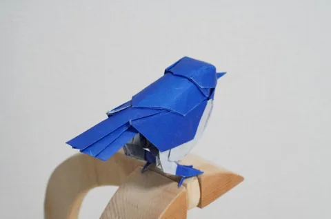 Little Bird V3