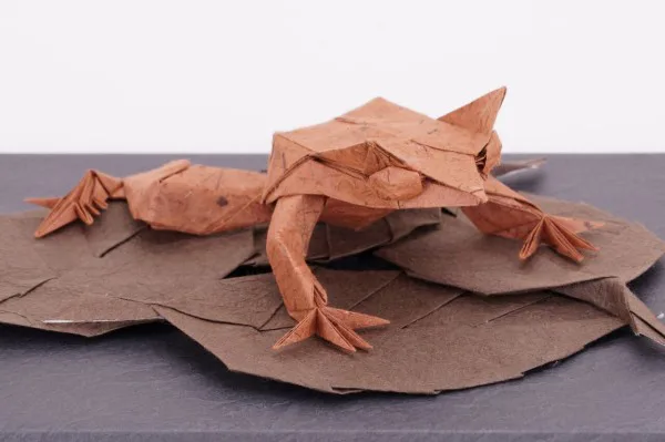 Long-nosed horned frog
