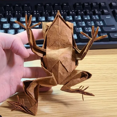 Long-nosed horned frog