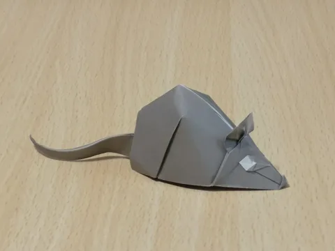 Mouse-rat