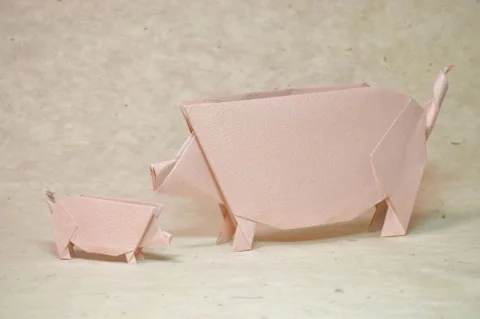 Pig