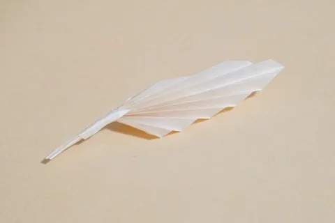 Quill Pen␠