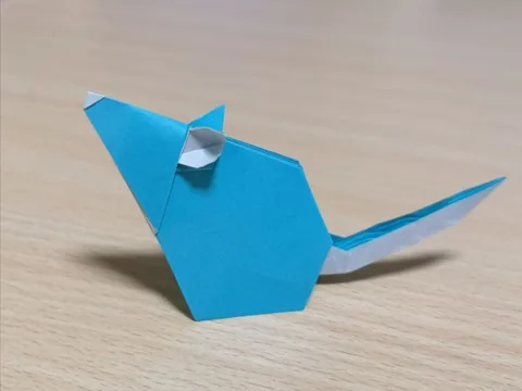 Rat