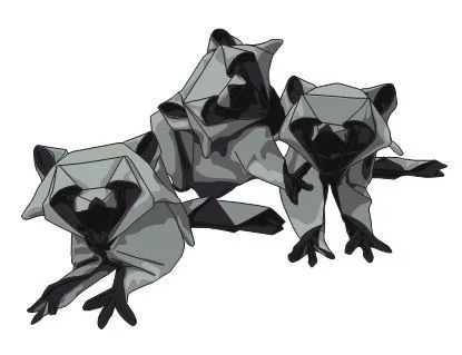 Raccoon