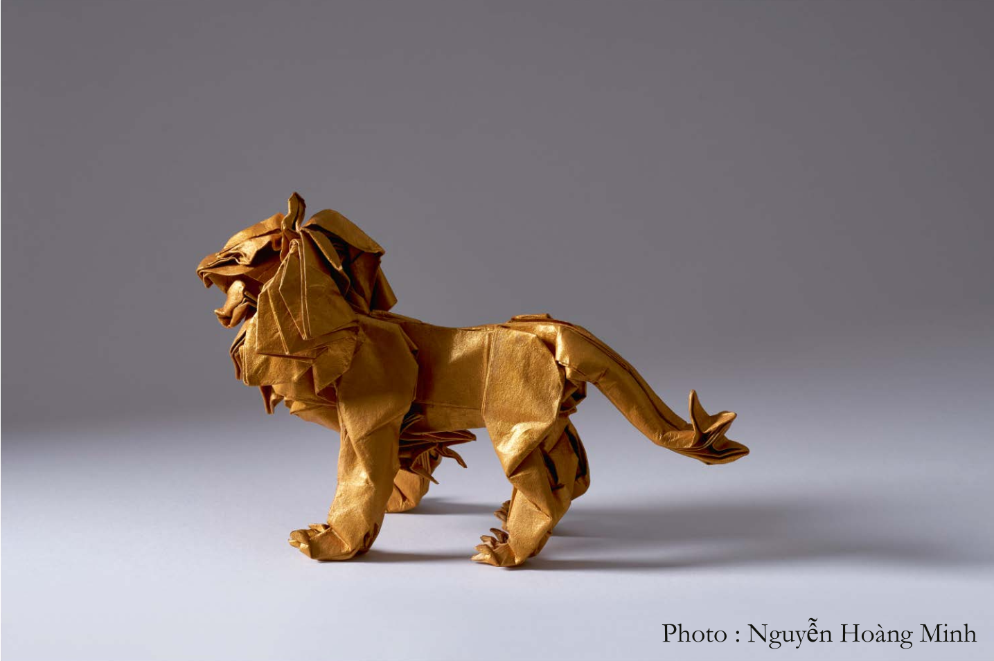 Lion