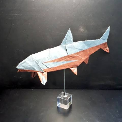 Owase (fish)