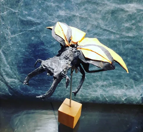 Stag beetle